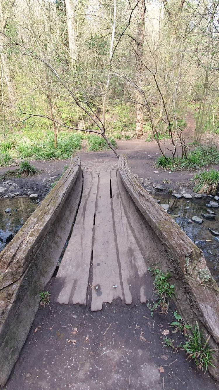 Blaise Castle Walk Option 2 Bristol Walk Fest